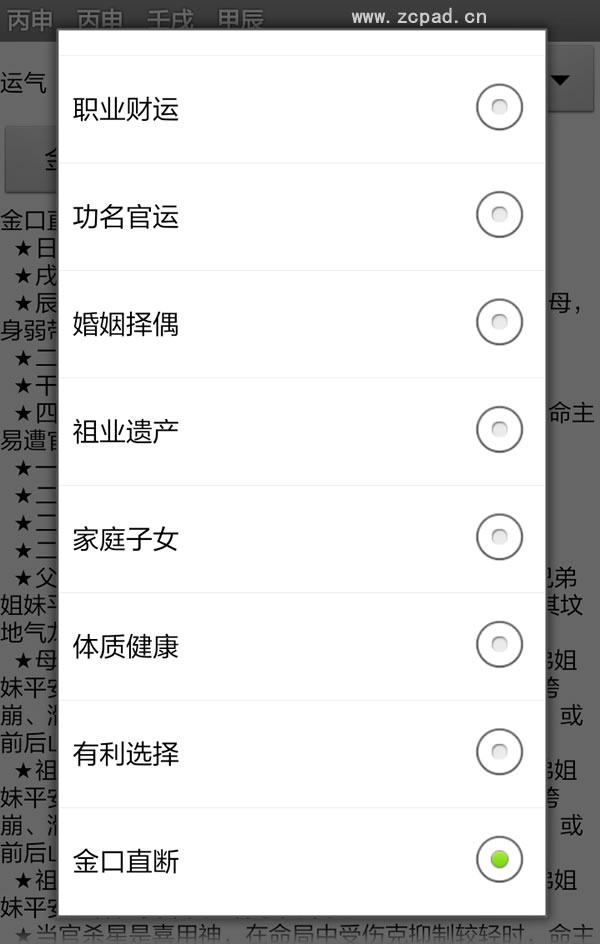 玄奥安卓手机版八字软件